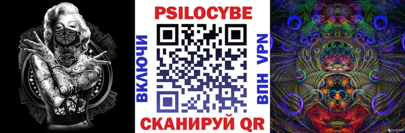 shop официальный сайт Устюжна Галлюциногенные грибы Psilocybine cubensis